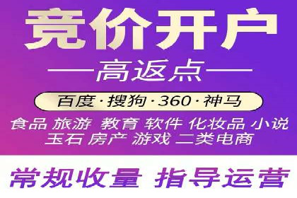 竞价SEM助力电商平台快速提升流量